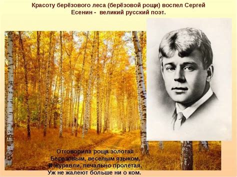 Анализ стихотворения «Отговорила роща золотая…» (Сергей Есенин)