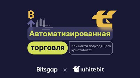 Выбор подходящего бота