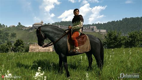 В Kingdom Come Deliverance