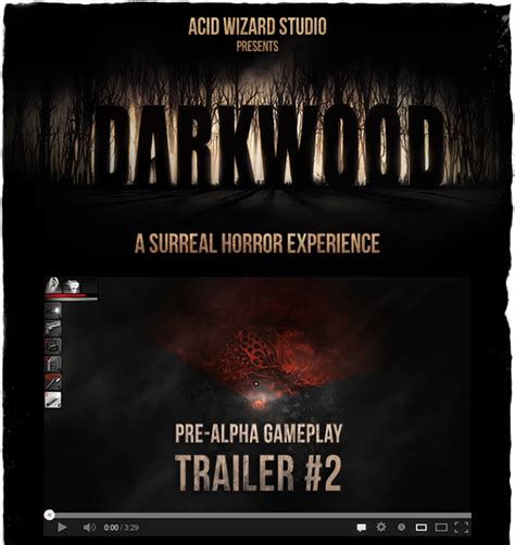 Значимость Darkwood Indiegogo: в чем ее суть?