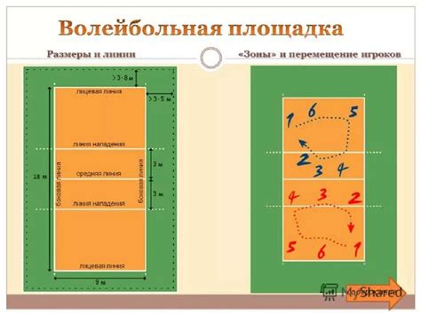 Изучаем правила и предпочтения игроков