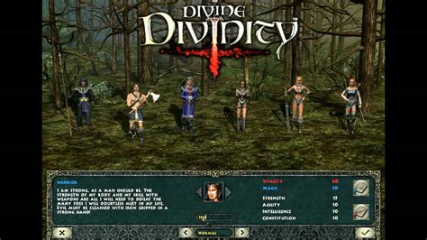 Как настроить Divine Divinity на полный экран