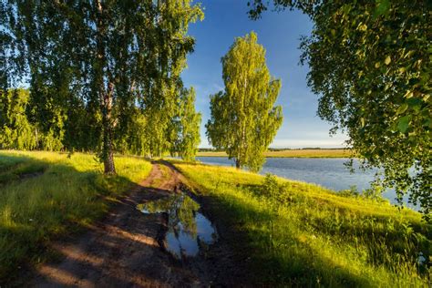 Красота русской природы в сочинении