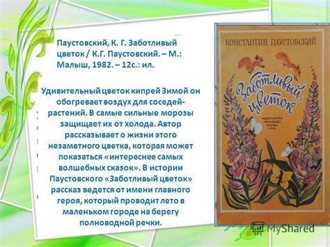 Мнение о рассказе «Заботливый цветок» от К.Г. Паустовского: