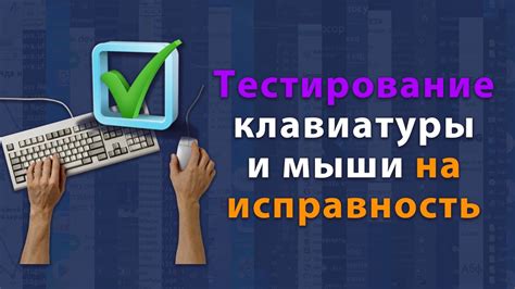 Проверьте работоспособность и протестируйте фургон