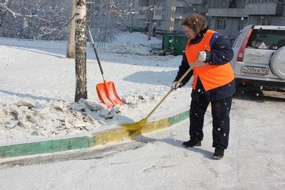 Работа дворника: основные требования и нормы