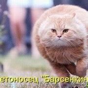 Сказочный день в городе, который ты обожаешь!