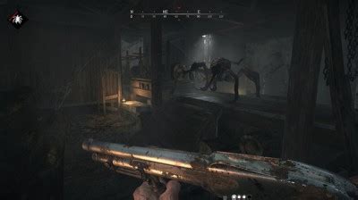 Советы и рекомендации по игре по сети в Hunt Showdown на пиратке