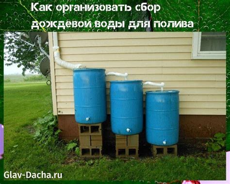 Создание ловушек для дождевой воды