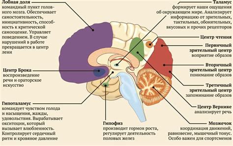 Человек внутри и снаружи: дилемма противоречивости