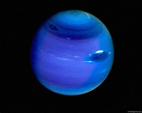 Что такое Проксима Нептуна?