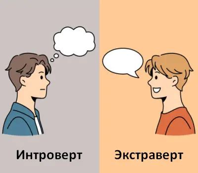  "Интроверт-экстраверт": как сочетание характеров может быть противоречивым?