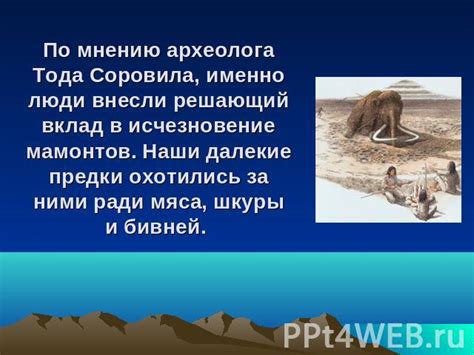  Какие нововведения внесли наши предки в различных областях жизни 