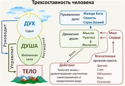  Отличие силы духа от физической силы по мнению Бруштейн 