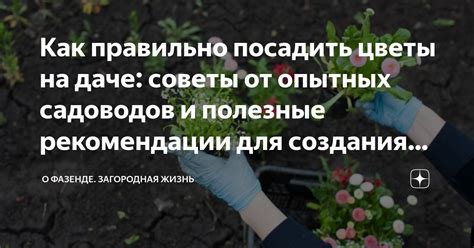  Полезные советы и рекомендации по сбросу характеристик в Bloodborne 