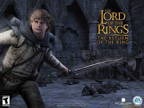  Причины возникновения ошибки code c0000005 at 0043e6a3 в игре Lord of the Rings: Return of the King
